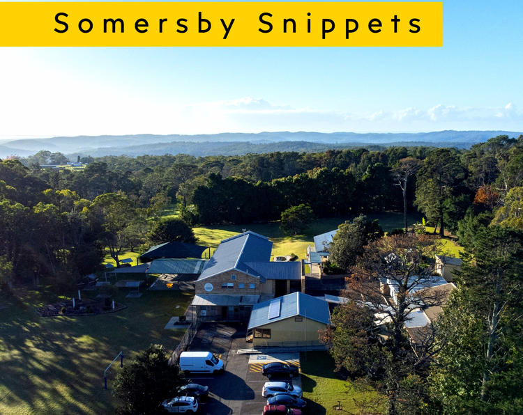 thumbnail of header of newsletter with words